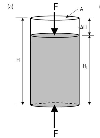 a diagrammatic expression of a cylindrical member under loading 