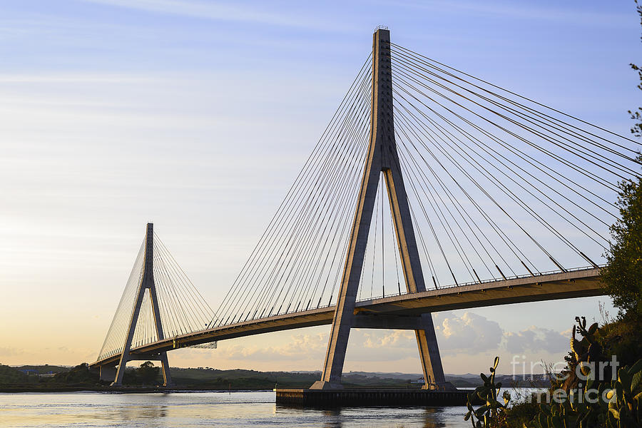 showing a cable stayed bridge with inverted Y frame towers.