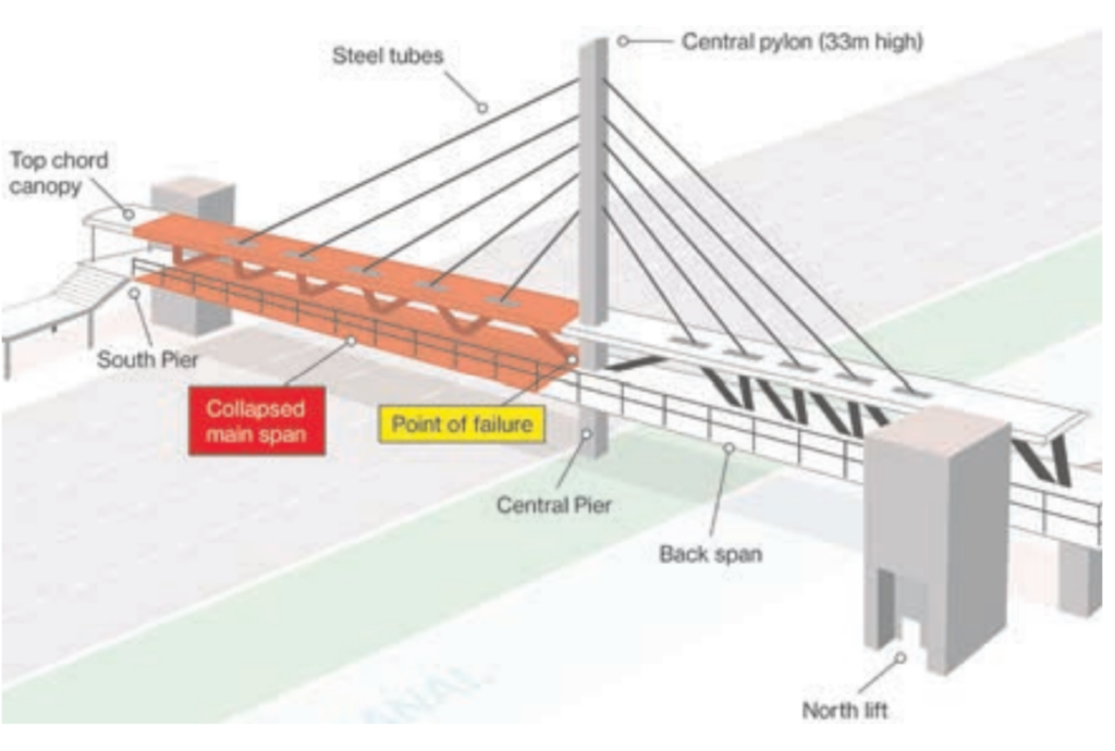 illustration of the Florida bridge 